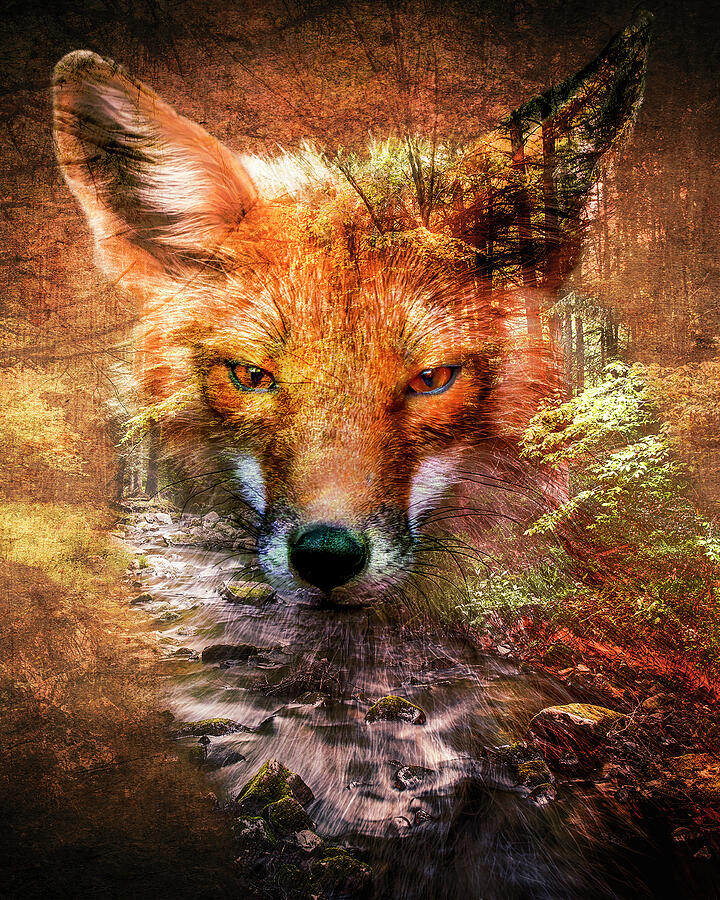 Red fox portrait blended with an autumn forest in a double exposure artwork by Dan Sproul